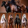 16 Scale Mr. Z Animal Resin Simulation Toy Hanoveria Horse Figure 5 Color Model