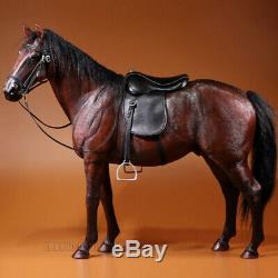 16 Scale Mr. Z Animal Resin Simulation Toy Hanoveria Horse Figure 5 Color Model