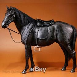 16 Scale Mr. Z Animal Simulation Toys Hanoveria Horse Resin Figure 5 Color Model