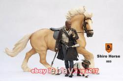 1/6 Mr. Z Resin Statue Animal Series 20'' Shire Horse In Stock Large Size Model