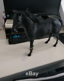 1/6 Scale Mr. Z Germany Hannover Hanoverian Black Horse Figure Pre-order Model