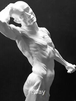 Anatomy Muscular Human Figure Ecorche Sculpture Skeleton Model Drawing Art 35