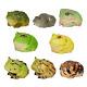 Animal Planet 13 Frog Blind Box Ceratophrys Cranwelli Figure Model Toy Collector