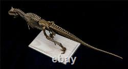 Carnotaurus Skeleton Model Abelisauridae Dinosaur Toys Animal Collector Gift