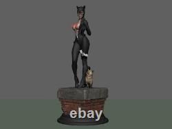 Catwoman 1/6 3D printed Sexy Unpainted Unassembled Resin Model Kit