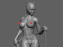 Catwoman 1/6 3D printed Sexy Unpainted Unassembled Resin Model Kit