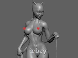 Catwoman Resin 3D Printed Model Kit Unpainted Unassembled GK 2 Sizes