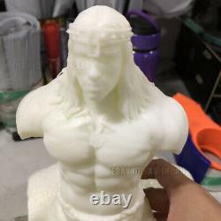 Conan Warrior Unpainted 1/6 Resin Figure 3D Print Model Kit Unassembled GK H32cm