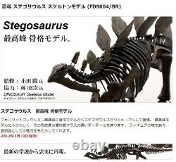 Favorite Stegosaurus Dinosaur skeleton Model Resin Figure T. Oda made in Japan