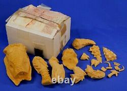 Godzilla Megalon Resin Model Kit Rare In Box Megalasoma Gianticus