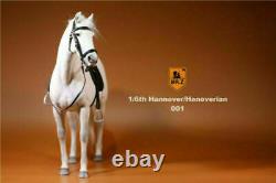 IN STOCK MrZ 1/6 Scale Germany Hannover Horse Hanoverian Animal Model 12 Figure