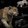 Jxk 1/6 Snow Leopard Panther Figure Animal Decor Model Collector Gk Pre-order