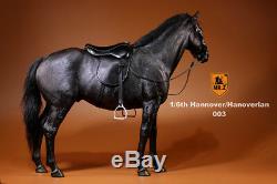 Mr. Z Germany Hannover Hanoverian Black Horse 1/6 Model Action Figure IN STOCK