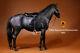 Mr. Z Germany Hannover Hanoverian Black Horse 1/6 Model Action Figure In Stock
