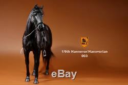 Mr. Z Germany Hannover Hanoverian Black Horse 1/6 Model Action Figure IN STOCK