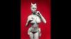 Ny3d 1 8 Catwoman 3d Resin Kit Review