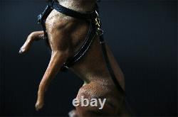 PAWFASHION 1/6 Belgian Malinois Dog Pet Figure Animal Model Collector Toy Gift