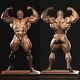 Ronnie Coleman 3d Printing Unpainted Figure Model Gk Blank Kit New Toy In Stock