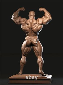 Ronnie Coleman 3D Printing Unpainted Figure Model GK Blank Kit New Toy In Stock