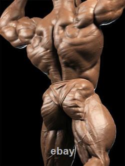 Ronnie Coleman 3D Printing Unpainted Figure Model GK Blank Kit New Toy In Stock