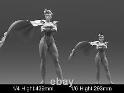 Super woman Sexy Girl Unpainted Unassembled Resin 3D printed Model Figure NSFW