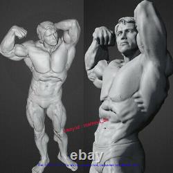 Bodybuilder Non Peint 30cm H Figurine Modèle Kit Impression 3d Statue Non Montée Gk