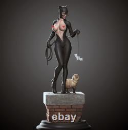 Catwoman 1/6 Imprimé 3d Sexy Non Peinte Modèle De Résine Non Assemblé