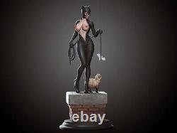 Catwoman Resin 3d Imprimé Kit De Modèle Non Peint Tailles Gk 2 Non Assemblées