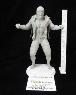 Le kit de modèle en résine à l'échelle 1/6 1/8 de Lou Ferrigno en tant que l'Incroyable Hulk