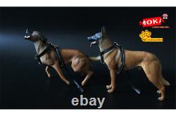 Pawfashion 1/6 Belgian Malinois Dog Pet Figurine Animal Modèle Cadeau De Jouet Collector